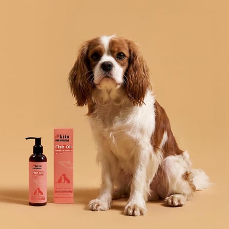 Balık Yağı 200 ml (Kedi ve Köpekler için Omega 3 &amp; 6 İçerikli Deri, Tüy, Eklem ve Kalp Sağlığı Destekleyici Balık Yağı)