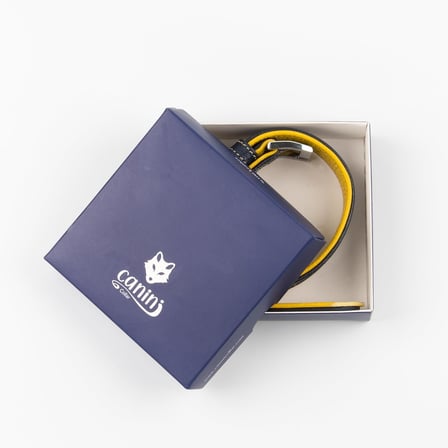 %100 Hakiki Deri - Antik Tokalı Köpek Tasması – Yumuşak İç Katman, Dayanıklı ve Şık Tasarım - Gerçek Deriden Tasma; Ekstra Küçük, Küçük, Orta, Büyük, Çok Büyük Köpekler İçin (Lacivert, XL)