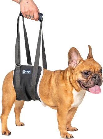 Köpek Yürüyüş Desteği – Sling Taşıma Aparatı, Felçli ve Yaşlı Köpekler İçin Yürüme Yardımı, Ortopedik Destek (L)