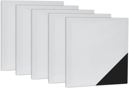 Profesyonel Tuval 20x20 cm 5'li