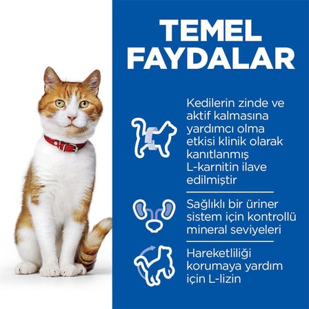 Hill's SP Somon Kısırlaştırılmış Yetişkin Kedi Maması 3KG Avantajlı Paket