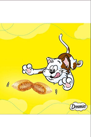 Dreamies Mix Somonlu Ve Peynirli Kedi Ödül Bisküvisi 60 G 6 Adet