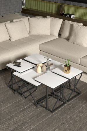 Orta Sehpa Ve Zigon Sehpa V Lüx 5'Li Set 