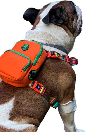 Design, Turuncu, Çantalı Göğüs Tasması, Köpek Sırt Çantası – 2’si 1 Arada Göğüs Tasması Fonksiyonlu, Ayarlanabilir, Küçük &amp; Büyük Irklar için, Small