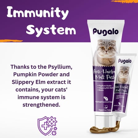 Hairball Malt Paste Kediler Için Tüy Yumağı Önleyen Vitamin Katkılı Malt Macun 100 ml
