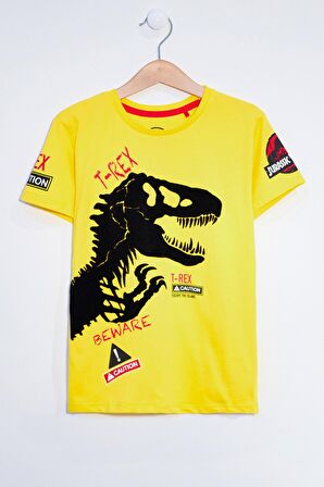 Erkek Çocuk Sarı 1-7 Yaş Kadife Dinozor Baskı T-Shirt 12272