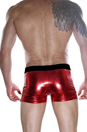 Erkek  Boxer