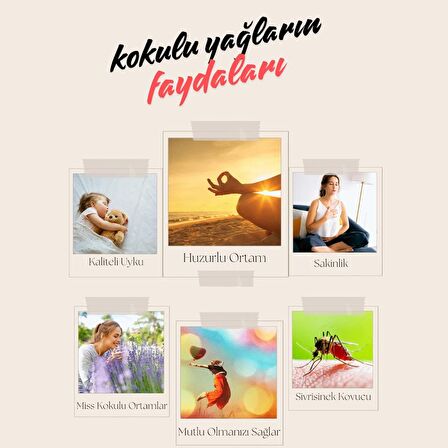 Sedir Bitkisi Uçucu Yağı Yatıştırıcı ve Aromatik Ahşap Kokusu 10ml Cam Şişede Buhardanlık Oda Kokusu