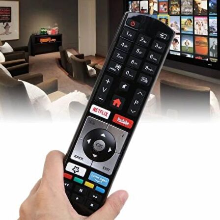 Telefunken 55TU8060 Smart Led Tv Kumandası