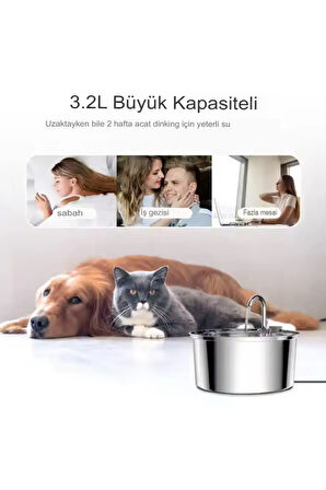 3.2 L Paslanmaz Çelik Büyük Metal Kedi Köpek Için Otomatik Su Pınarı Su Çeşmesi 3.2 L 108 Oz