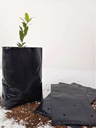 Fide Poşeti 22x35 CM 30 Adet Fide Torbası Fidan Poşeti