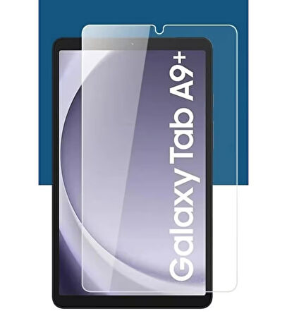 Samsung Galaxy Tab A9 Plus (X210) Ekran Koruyucu