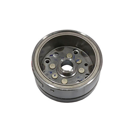 Msr Rotor Manyeto Orj Bajaj Pulsar Ns200