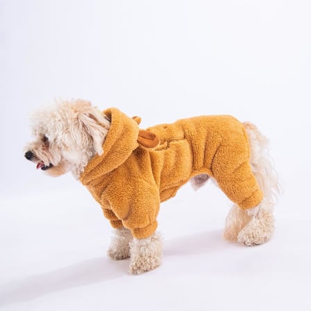 Latte Koala Peluş Küçük Irk Köpek Tulumu (L)
