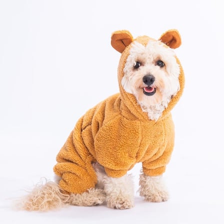 Latte Koala Peluş Küçük Irk Köpek Tulumu (L)