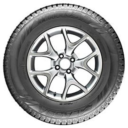 195/60R16C 99/97T 6PR WINTUS 2  M+S / SFM