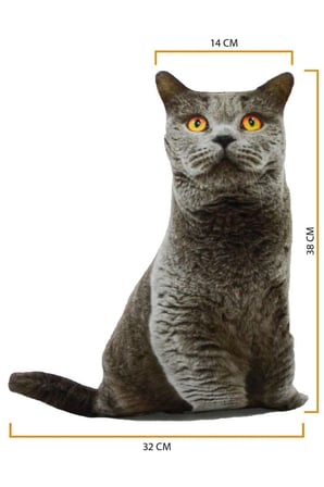 3D Dijital baskılı kedi yastık BRİTİSH SHORTHAİR kedi