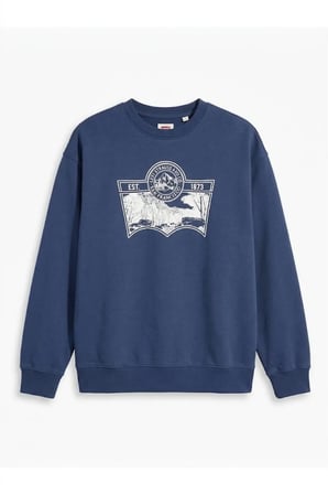 relaxed fit pamuk kumaş Erkek Graphic Sweatshirt k.Lacivert / 2XL