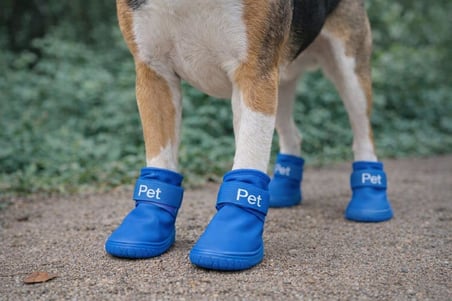 Köpek Ayakkabısı 4’lü Set Su Geçirmez Kaymaz Tabanlı Köpek Botu Küçük Orta Irk Köpekler İçin Koruyucu Patik Yağmur Kar Çamur İçin Dayanıklı Evcil Hayvan Ayakkabısı Mavi (Large)