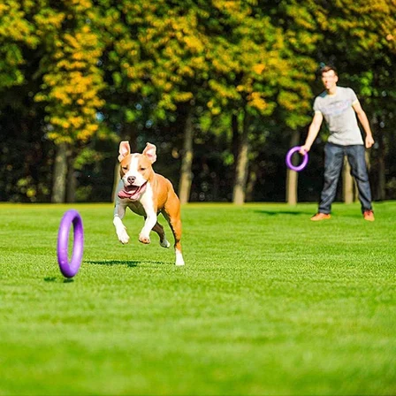 Köpek oyuncağı, köpek eğitim halkası, çiğneme, koşu, atlama, atış için, zehirli olmayan, yüzer, standart çektirme, orta ve büyük köpekler için köpek oyuncağı, 2 fitness halkası seti
