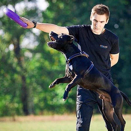 Köpek oyuncağı, köpek eğitim halkası, çiğneme, koşu, atlama, atış için, zehirli olmayan, yüzer, standart çektirme, orta ve büyük köpekler için köpek oyuncağı, 2 fitness halkası seti