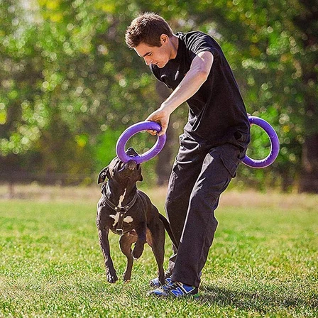 Köpek oyuncağı, köpek eğitim halkası, çiğneme, koşu, atlama, atış için, zehirli olmayan, yüzer, standart çektirme, orta ve büyük köpekler için köpek oyuncağı, 2 fitness halkası seti