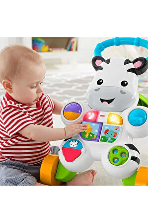 Melodili Zebra Yürüteç Dld80