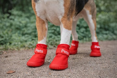 Köpek Ayakkabısı 4’lü Set Su Geçirmez Kaymaz Tabanlı Köpek Botu Küçük Orta Irk Köpekler İçin Koruyucu Patik Yağmur Kar Çamur İçin Dayanıklı Evcil Hayvan Ayakkabısı Kırmızı (Small)