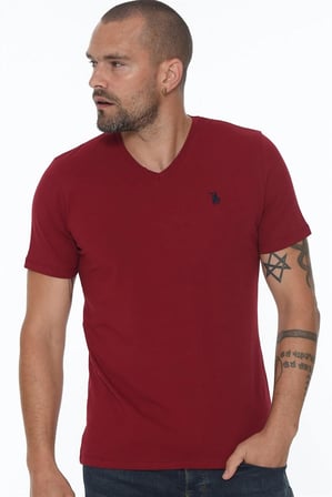 T8568 DEWBERRY V YAKA ERKEK T-SHIRT-BORDO