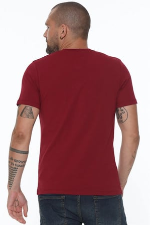 T8568 DEWBERRY V YAKA ERKEK T-SHIRT-BORDO