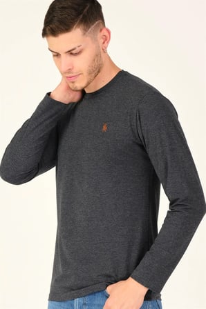 T8588 DEWBERRY BİSİKLET YAKA UZUN KOL T-SHIRT-ANTRASİT