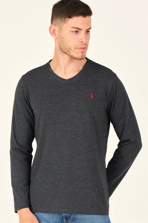 T8587 DEWBERRY V YAKA ERKEK UZUN KOL T-SHIRT-KOYU ANTRASİT