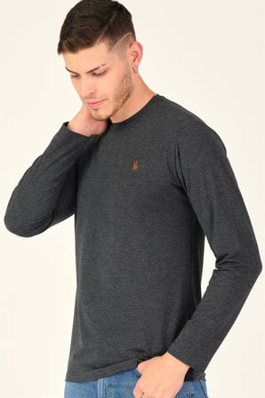 T8588 DEWBERRY BİSİKLET YAKA UZUN KOL T-SHIRT-KOYU ANTRASİT