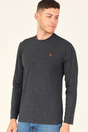T8588 DEWBERRY BİSİKLET YAKA UZUN KOL T-SHIRT-KOYU ANTRASİT