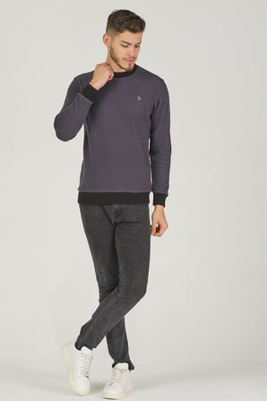 V4004 DEWBERRY ERKEK SWEATSHIRT-ANTRASİT
