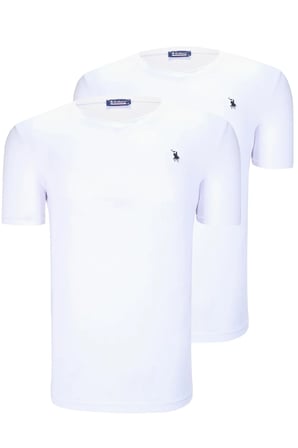 İKİLİ SET T8568 DEWBERRY V YAKA ERKEK T-SHIRT-KAR BEYAZ- KAR BEYAZ