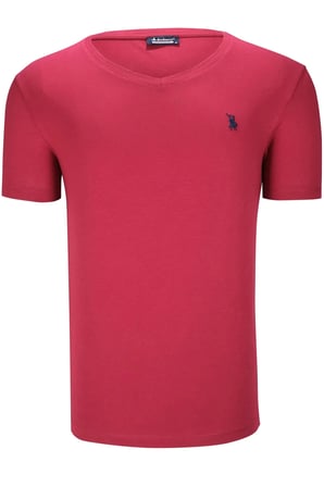 ÜÇLÜ SET T8568 DEWBERRY V YAKA ERKEK T-SHIRT-KOYU SİYAH-KAR BEYAZ-AÇIK BORDO