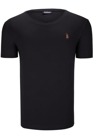 ÜÇLÜ SET T8568 DEWBERRY V YAKA ERKEK T-SHIRT-KOYU SİYAH-KAR BEYAZ-AÇIK SAX