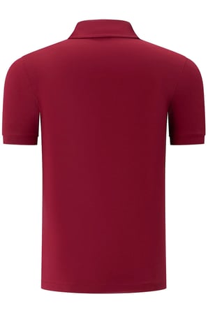 Dewberry Erkek Tişört Düz Bordo T8582 | T-Shirt, Günlük Üst Giyim ve Şehir Stili, Jean, Şort ve Chino Pantolon Kombinleri, Gömlek veya Ceket Altına Katmanlı Kullanım, Hafta Sonu ve Arkadaş Buluşmaları, Spor Ayakkabı ve Sneaker ile Kombin, Günlük Stil