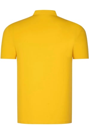T8582 DEWBERRY ERKEK T-SHIRT-SARI