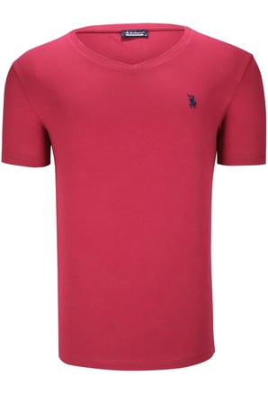 İKİLİ SET T8568 DEWBERRY V YAKA ERKEK T-SHIRT-BEYAZ-BORDO