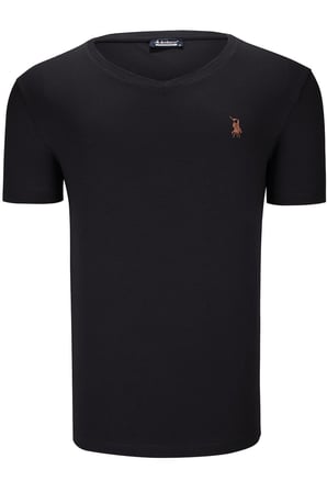 İKİLİ SET T8568 DEWBERRY V YAKA ERKEK T-SHIRT-SİYAH-AÇIK YEŞİL