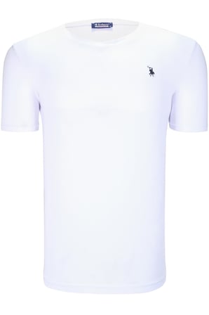 İKİLİ SET T8568 DEWBERRY V YAKA ERKEK T-SHIRT-BEYAZ-GRİ