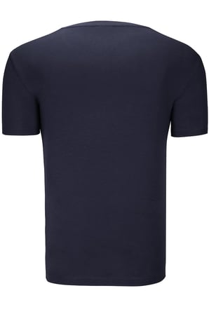 İKİLİ SET T8568 DEWBERRY V YAKA ERKEK T-SHIRT-LACİVERT - GRİ