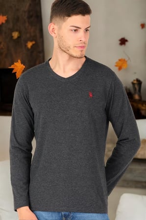 T8587 DEWBERRY V YAKA ERKEK UZUN KOL T-SHIRT-ANTRASİT-2