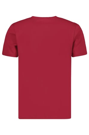 T8568 DEWBERRY V YAKA ERKEK T-SHIRT-KOYU BORDO
