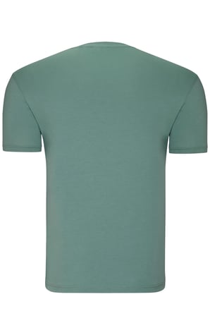 T9568 DEWBERRY V YAKA ERKEK T-SHIRT-AÇIK YEŞİL