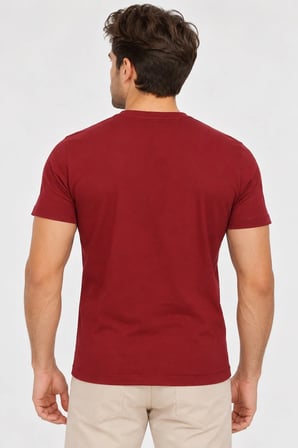 T9568 DEWBERRY V YAKA ERKEK T-SHIRT-BORDO-1