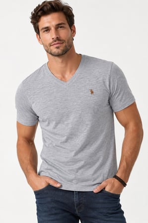 T9568 DEWBERRY V YAKA ERKEK T-SHIRT-AÇIK GRİ