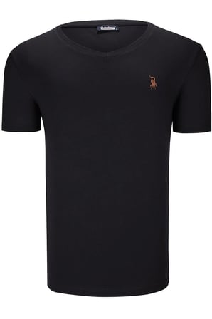 İKİLİ SET T8568 DEWBERRY V YAKA ERKEK T-SHIRT-SİYAH-BEYAZ-2
